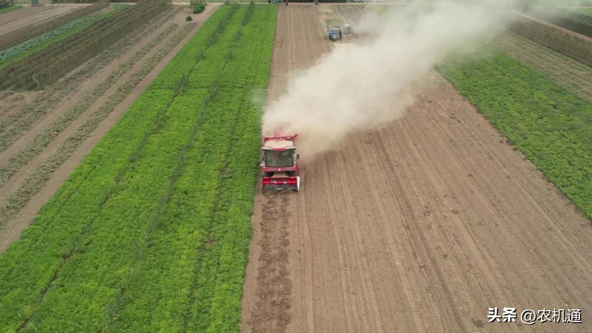 中联花生收获机作业操作讲解,中联花生收获机好开吗