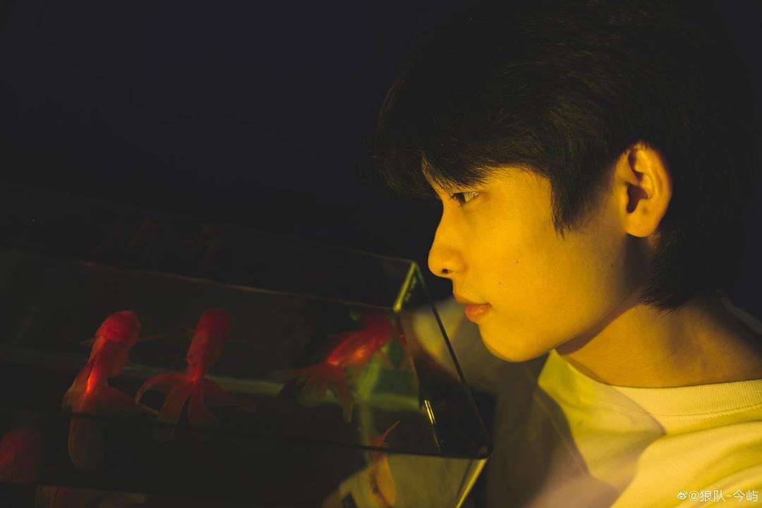 kpl总决赛狼队小胖第一视角第三局,kpl春季赛狼队赛程表