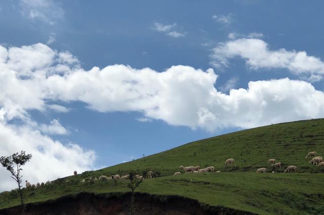 云南玉溪高山风景区,玉溪一小时车程的旅游景点