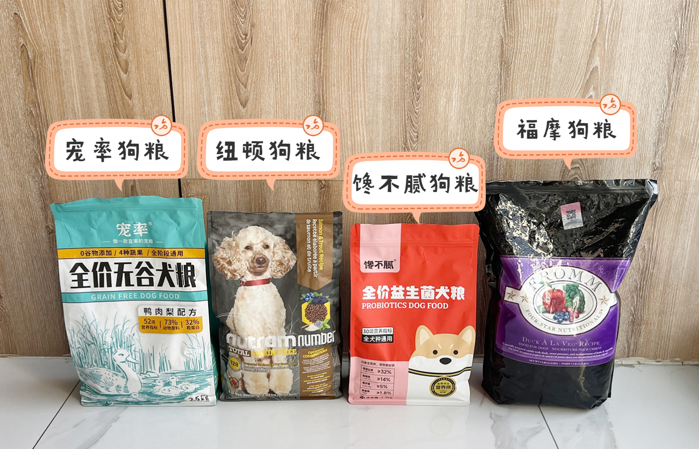 养了柯基不想养了能卖多少钱,养了柯基适合养猫么