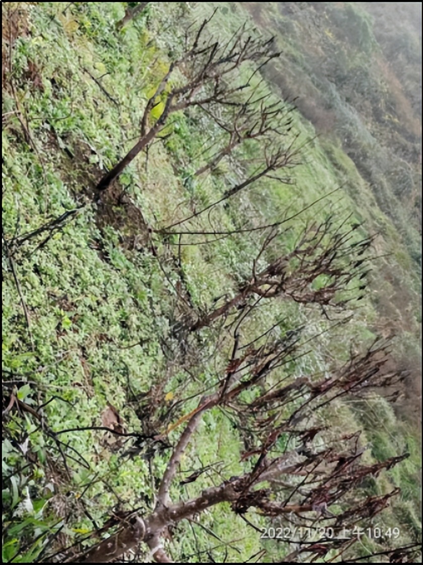 饱含浓浓乡情,厚植三农情怀书写乡村振兴华章