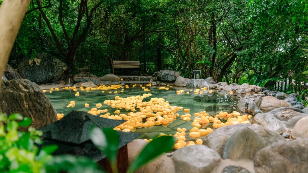云南西部大峡谷泡温泉,云南原始森林温泉