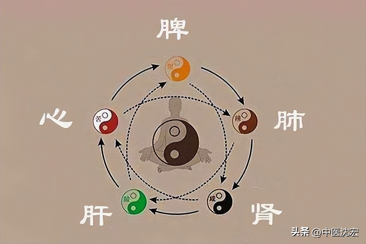 祛湿养脾补气中成药,脾气脾虚湿气重用什么来调理最好