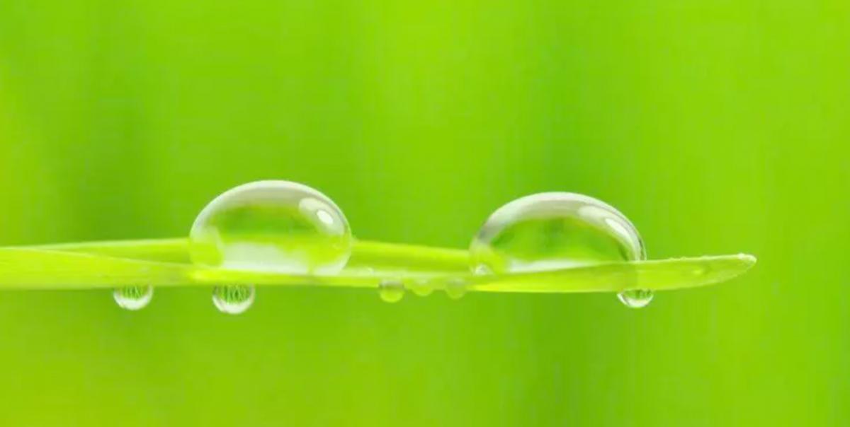 “同房”时女性声音太大，整日惊扰邻居，医生：这其实是一种疾病