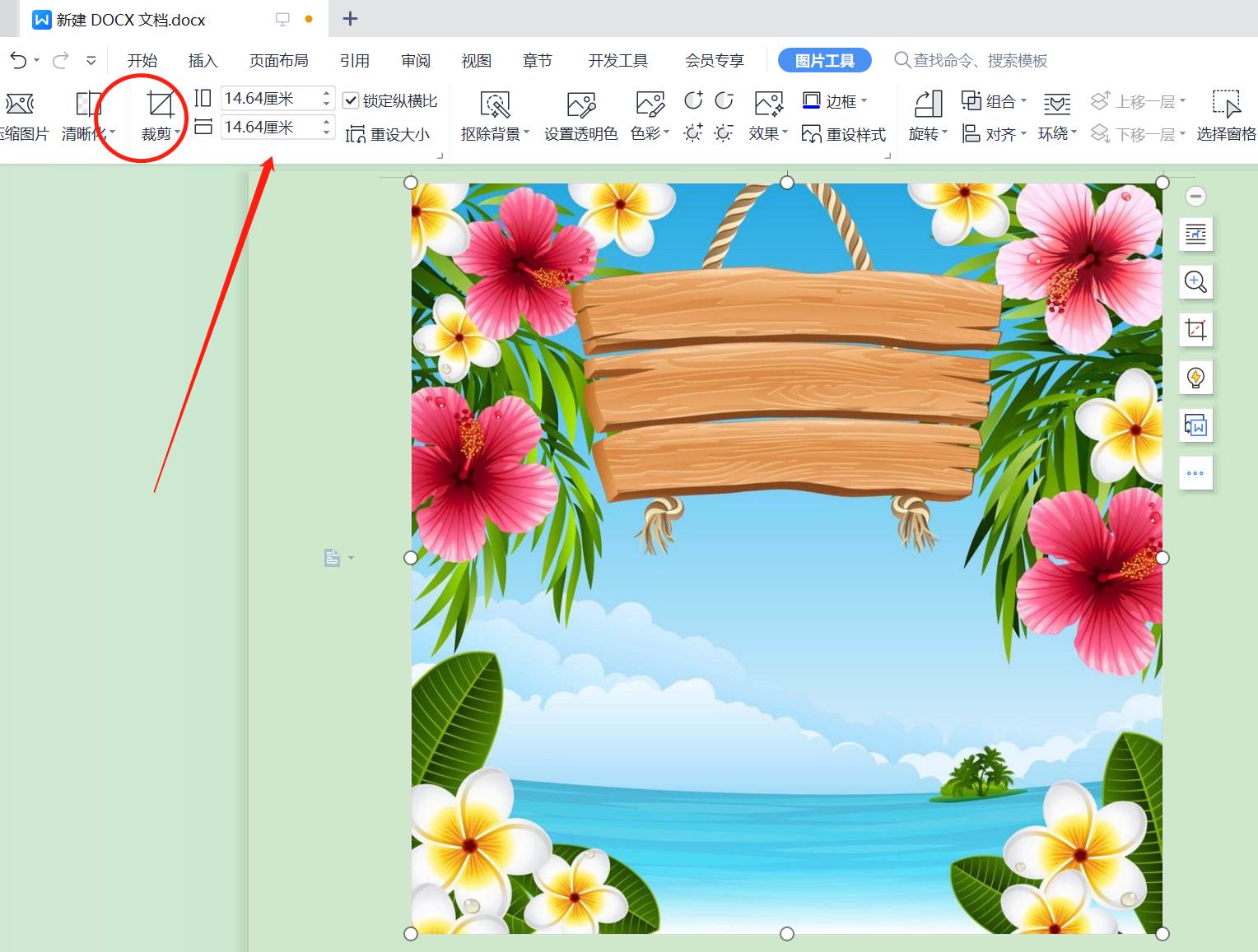 怎么裁剪照片尺寸,手机一寸照片尺寸怎么裁剪