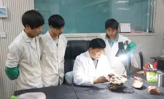 闈為仐闄剁摲闆曞埢浜虹墿,闈為仐鍖栬厫鏈戒负绁炲