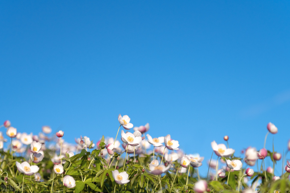 缓解焦虑的方式便是好好热爱生活,减少焦虑的最好的办法英语