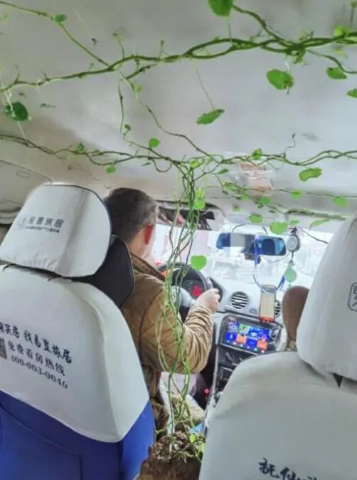 这摄影师是个抓拍鬼才|冷段子2068