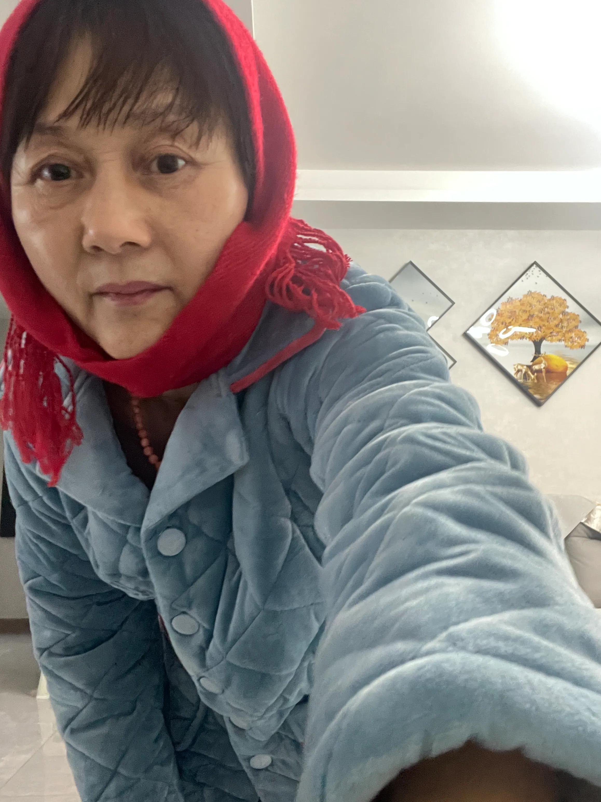 渡劫飞升,渡劫类手游