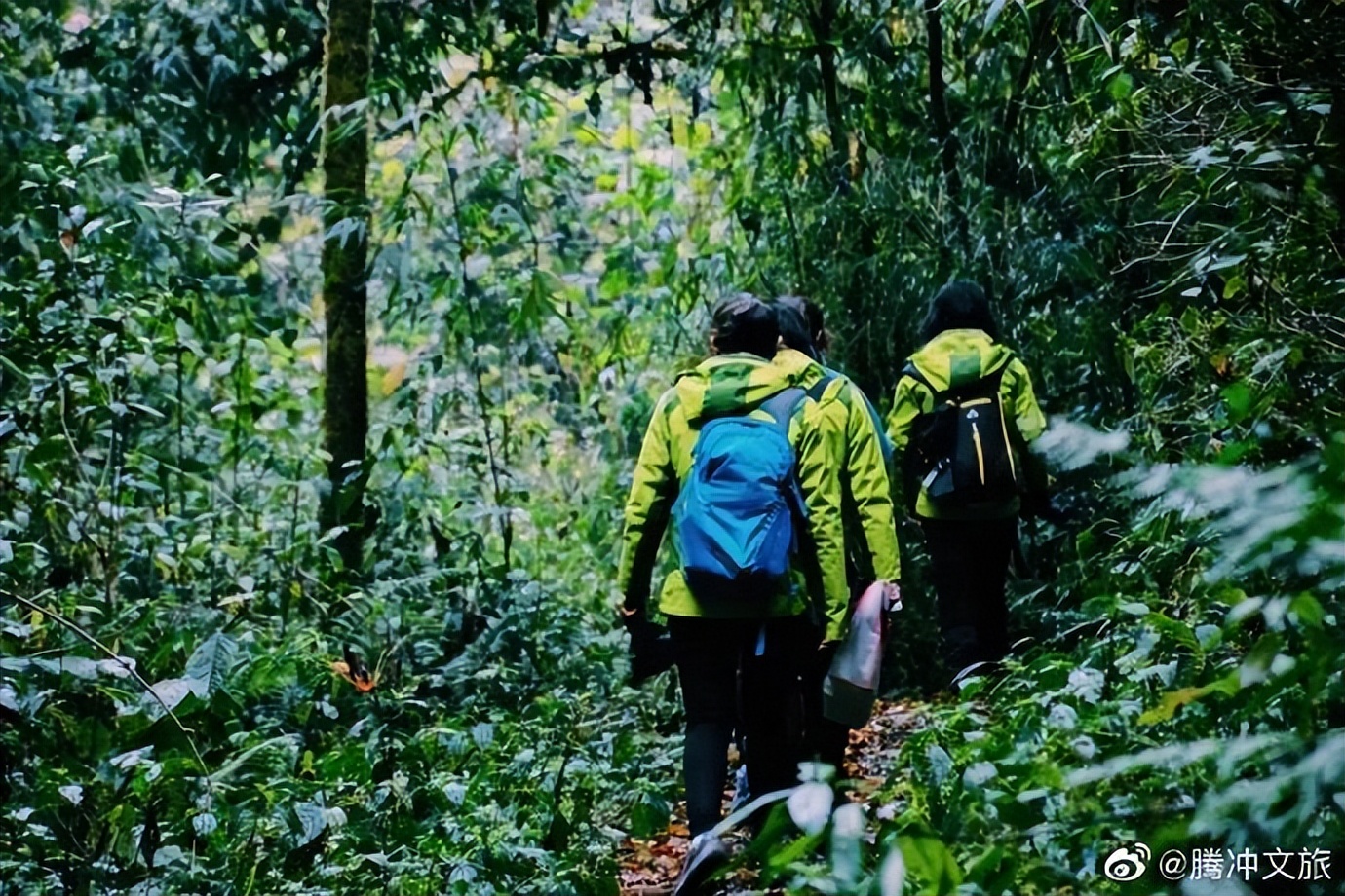 樱花谷温泉,樱花谷温泉攻略
