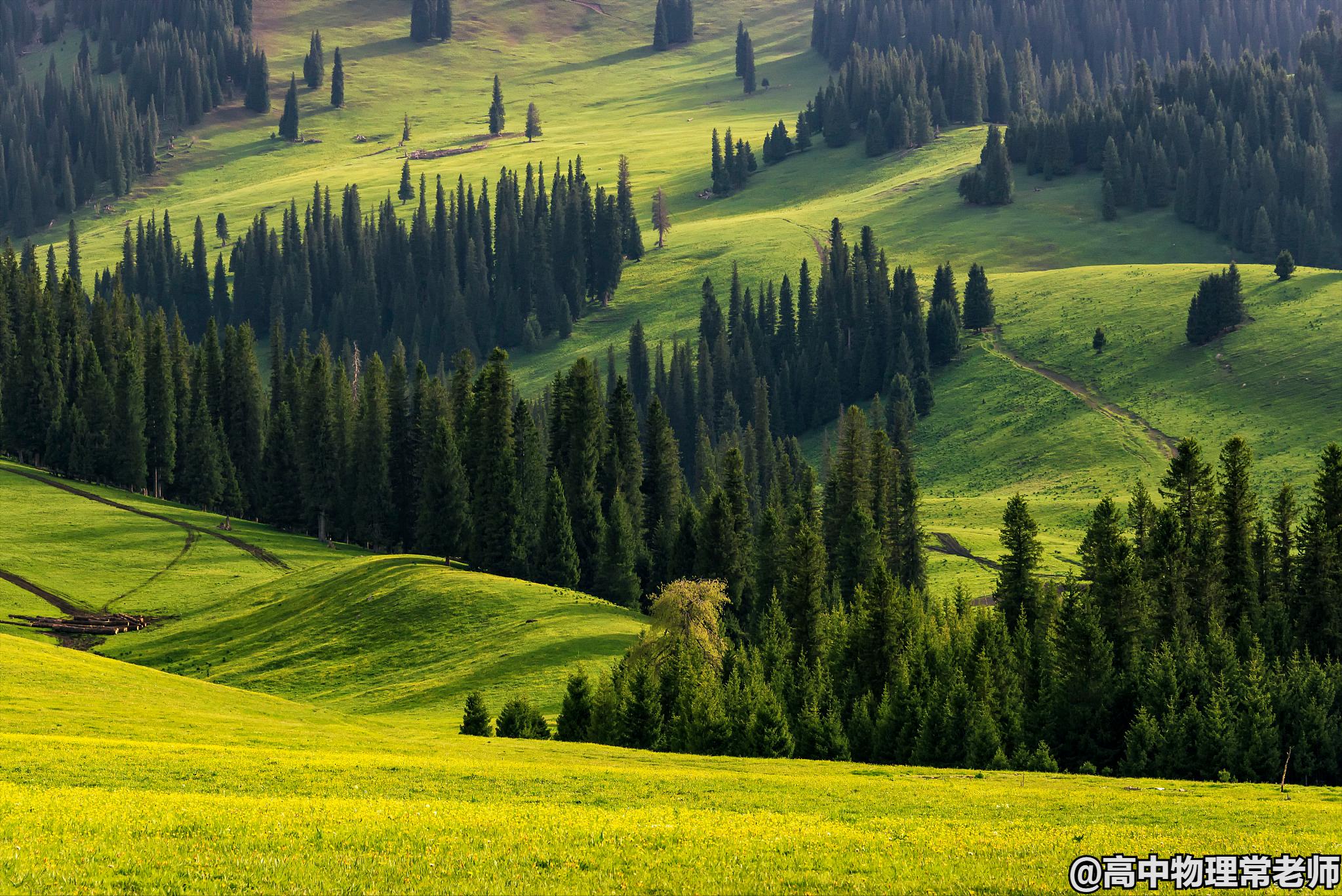 鐙簱鍏矾鐜枂鍗楀寳,鐙簱鍏矾淇￠┈娓哥枂