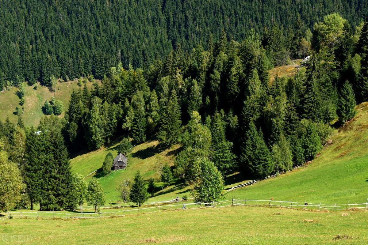 五树进宅人穷家败有什么说法,五树进宅人穷家败的寓意