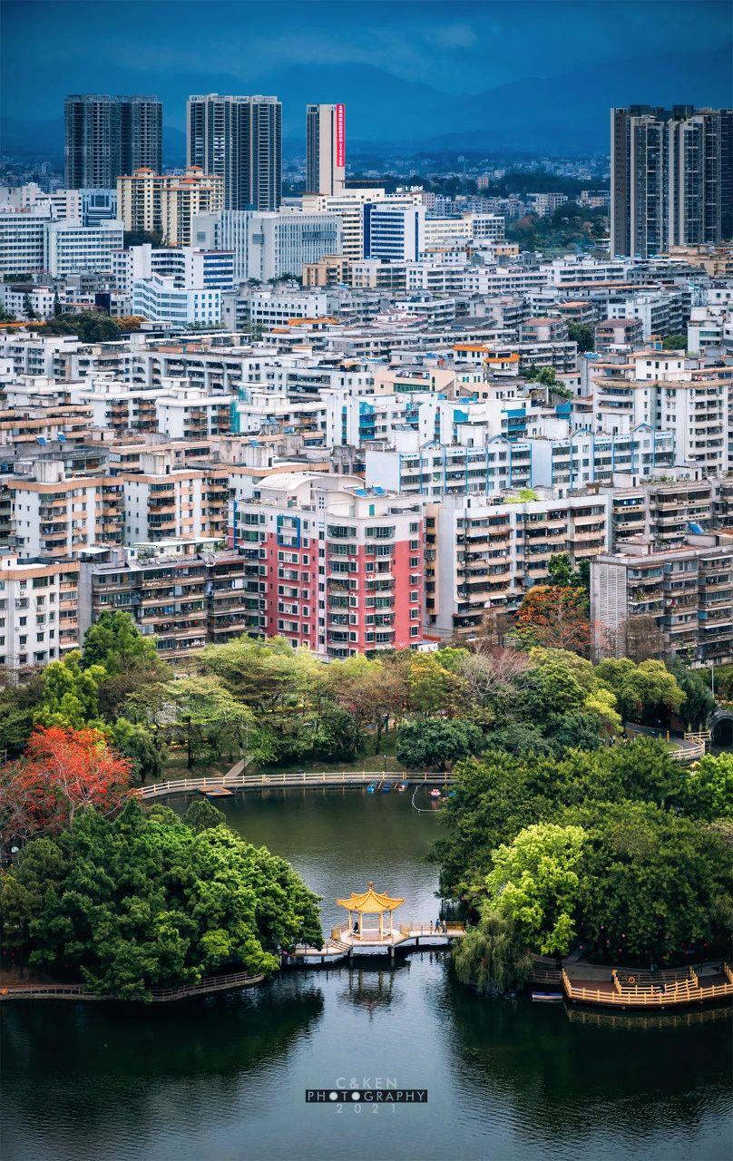 美食之都潮汕,广东茂名的特色美食水果