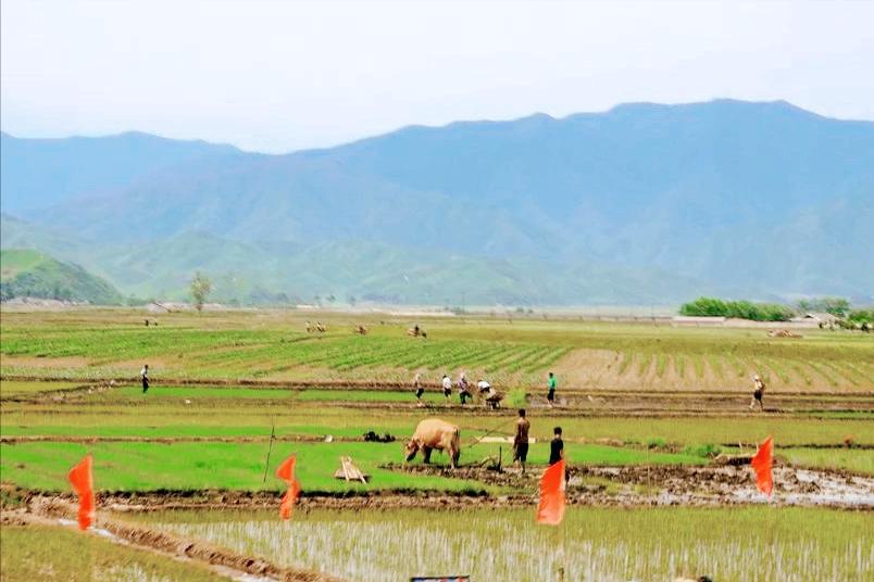 中国人去朝鲜会有什么样的待遇,中国人去到朝鲜朝鲜人会做什么