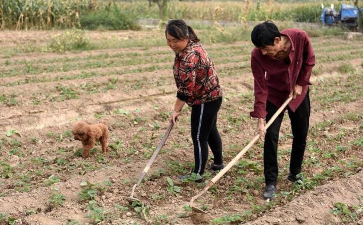 河南十九岁智障小伙,智障儿童被父亲养大