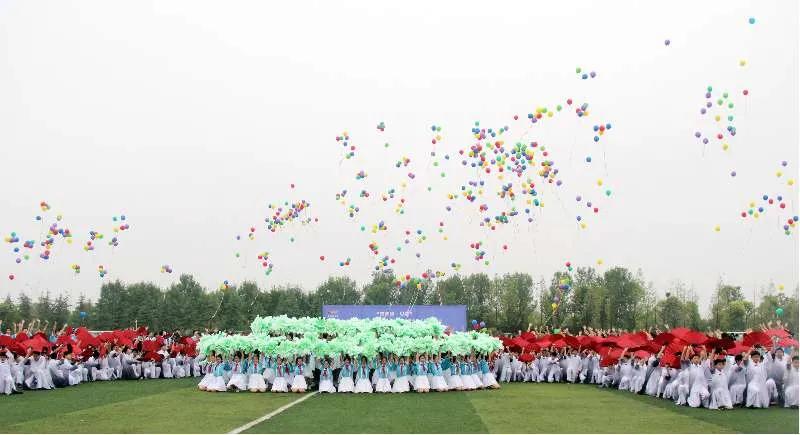 驻马店市长杯2021小学足球赛,2022驻马店市长杯足球赛