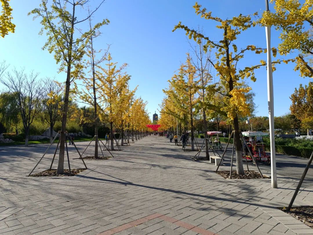 redminote114g拍照效果,redminote11拍照效果好吗