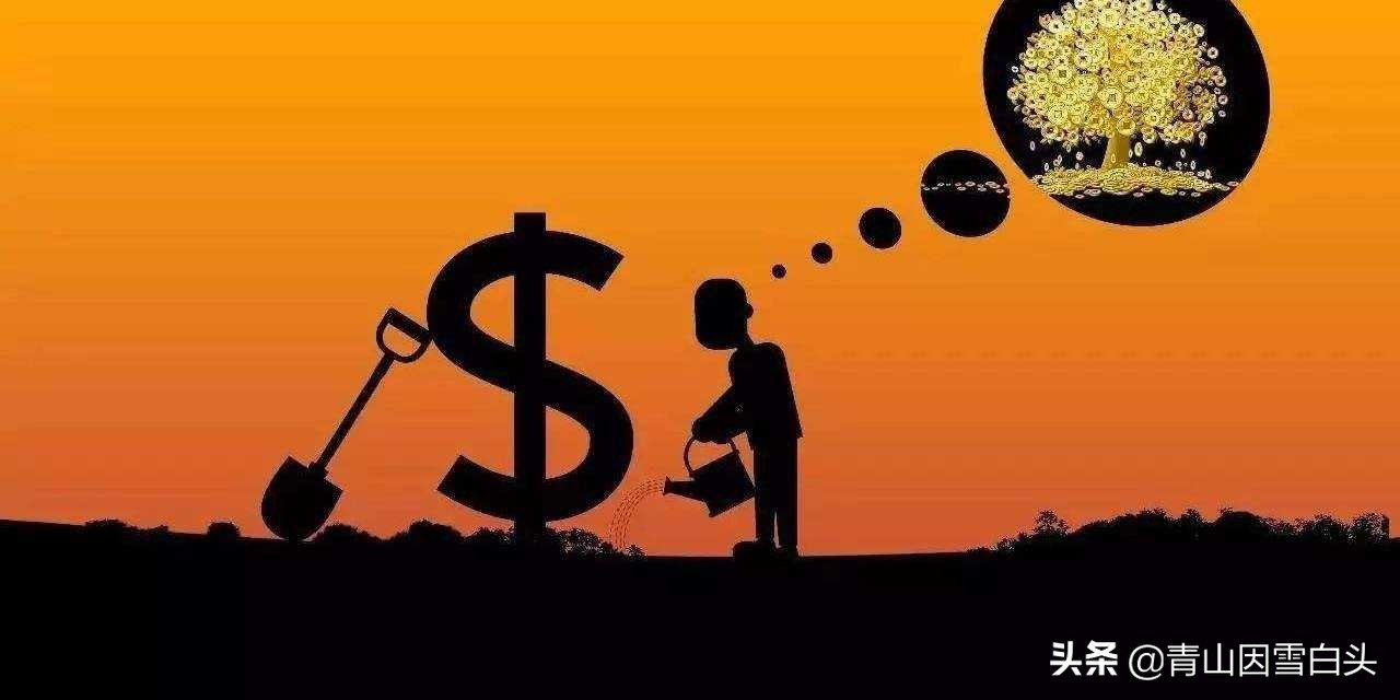 现在市场行情最好的苗木,目前高档苗木有哪些