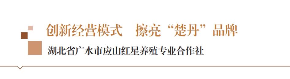 妤氫腹婀栧寳绾㈡槦鍏绘畺,骞挎按甯傚簲灞辩孩鏄熷吇娈栦笓涓氬悎浣滅ぞ