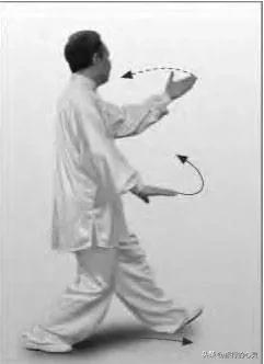 陈氏太极拳24式图解步骤,24式太极拳图解说明和要点