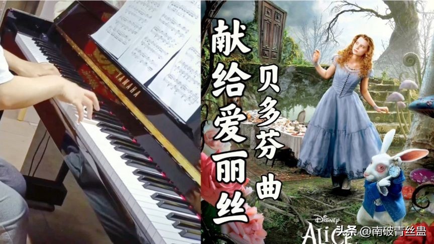 致爱丽丝是贝多芬分手后写的吗,致爱丽丝表达贝多芬怎样的感情