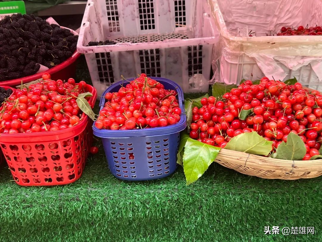 楚雄樱桃批发,楚雄樱桃多少钱一斤