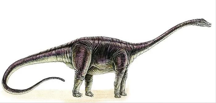 恐龙立体书科普恐龙,恐龙科普全集