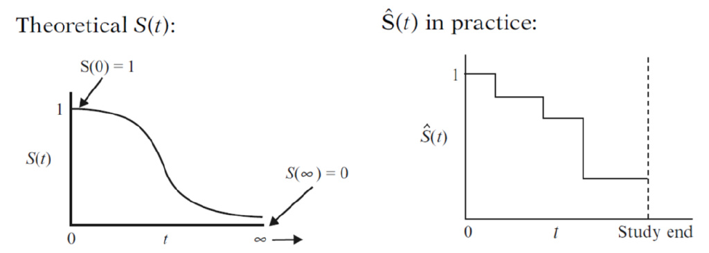 生物统计学t分布,生物统计学发展史三个阶段