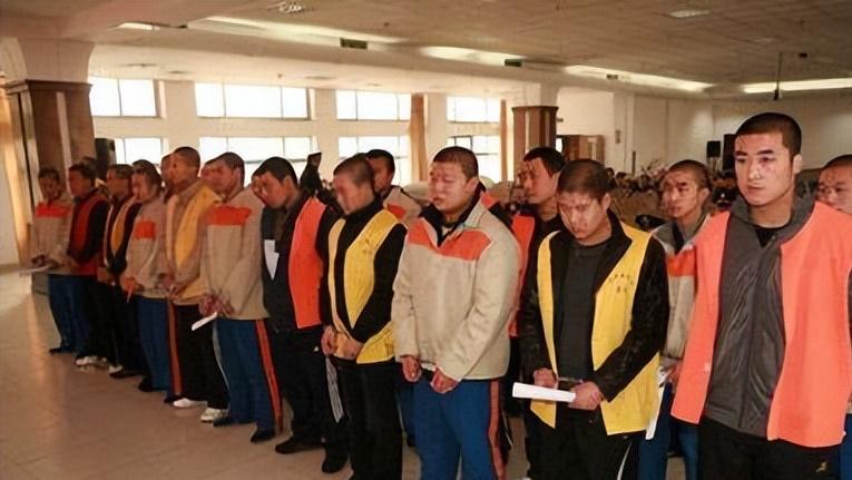 王云娜案件判刑名单,河北王云娜宣判