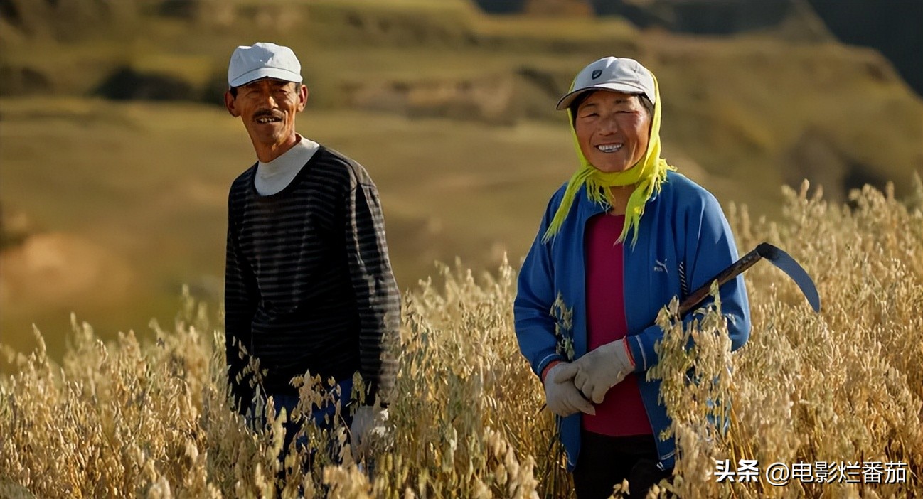 十大值得一看的中国纪录片,震撼的十部中国纪录片