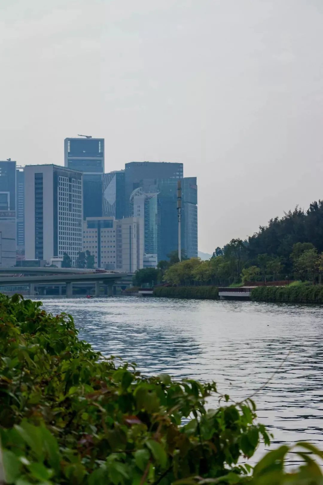 深圳小众胜地有哪些好玩的,深圳的特色风景