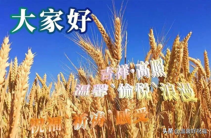 最真挚的祝福和问候早上好表情包,早上好图片带字逗人开心表情包