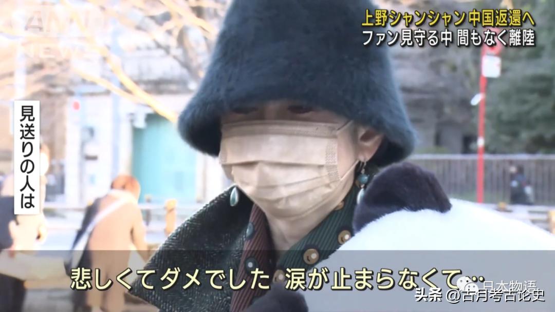 旅日大熊猫回国日本人反应,四只旅日大熊猫陆续归国