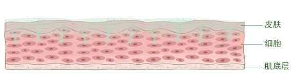医生谈维生素e加凡士林美白,维生素e软胶囊能抹脸能抗衰老吗