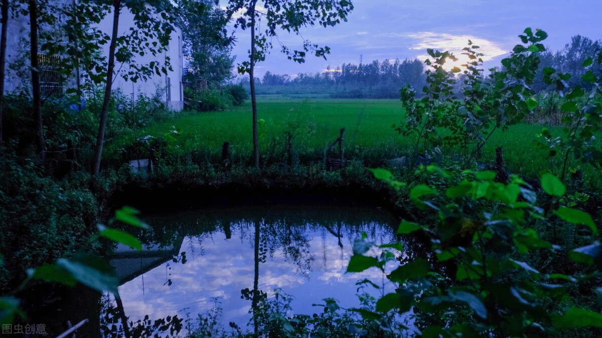 梦寐以求的长大是回不去的童年,盼望长大的童年