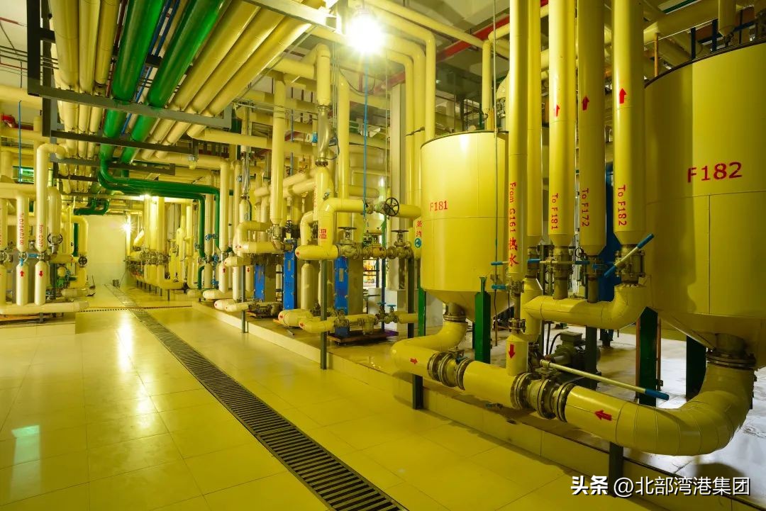 3家企业获全国表彰,3家企业入选省工业龙头企业名单