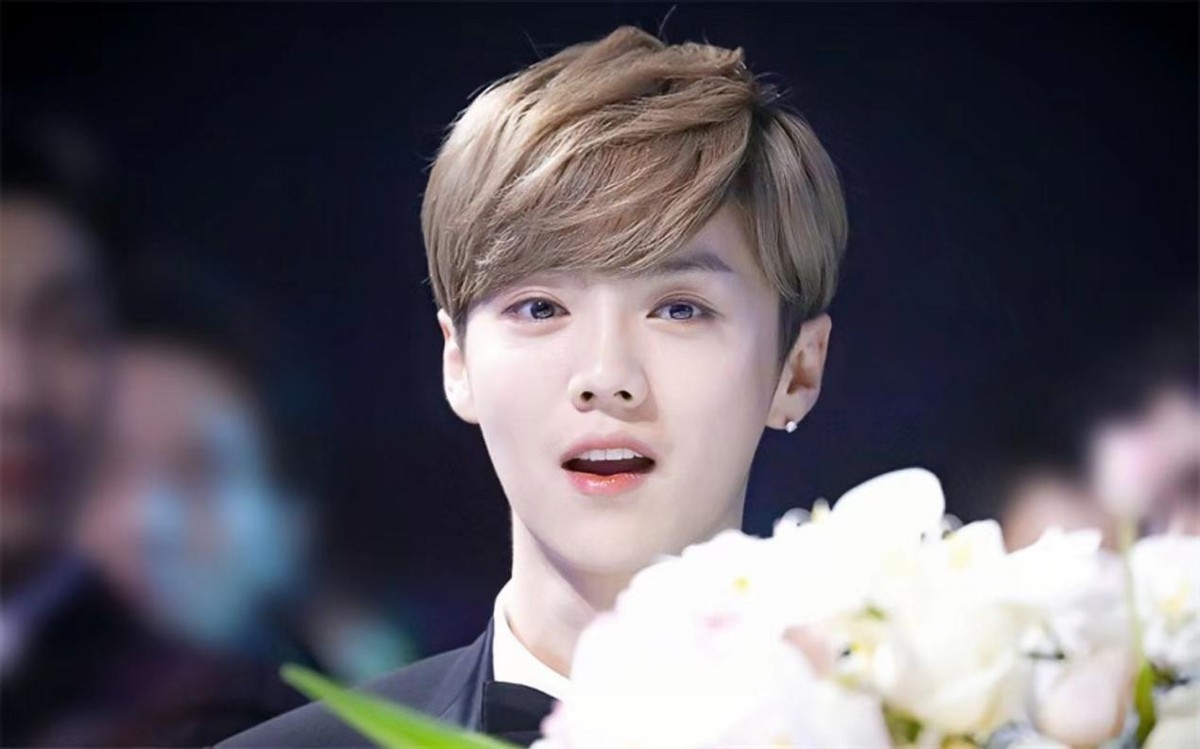 鹿晗33岁了吗,鹿晗在娱乐圈到底有多火