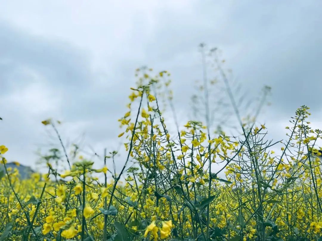 施工方工程延期如何赔偿,施工方拖欠材料款不给应怎么追回