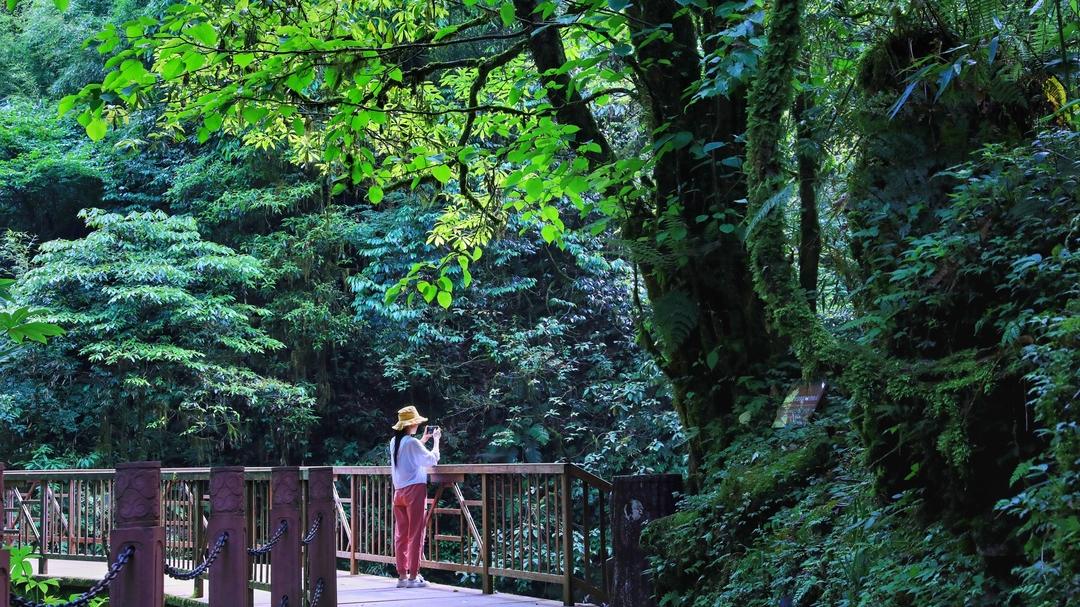 洪雅一个生你养你的地方,洪雅一个养你的地方