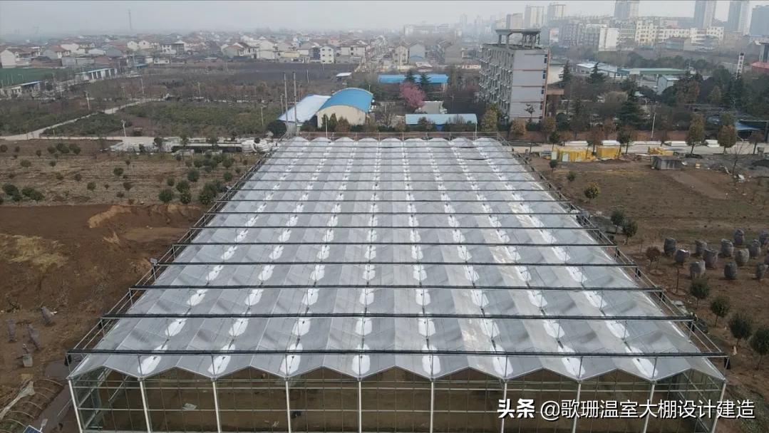 保温效果最好的温室大棚,高纬度冬暖式温室大棚