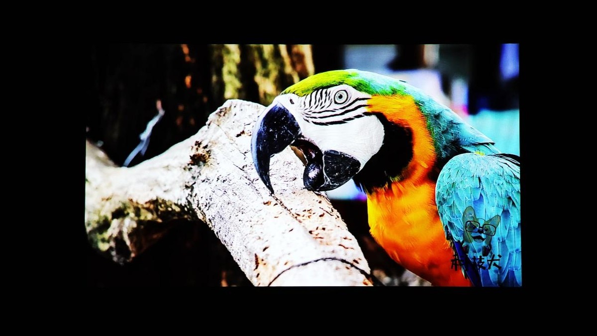 联想小新520投影仪观影效果,联想小新520投影仪测评