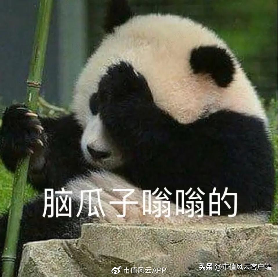 95后买壳人是造假大亨之女,雅百特造假案还要换个姿势,再来一次?