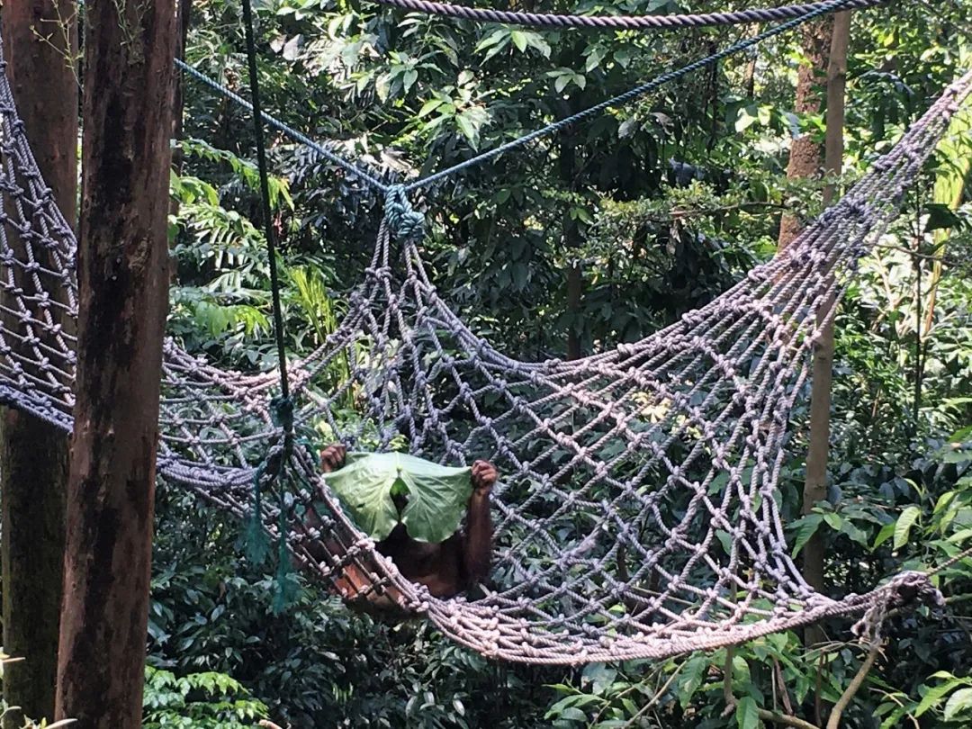 7月份人来人往街道,7月北京人山人海