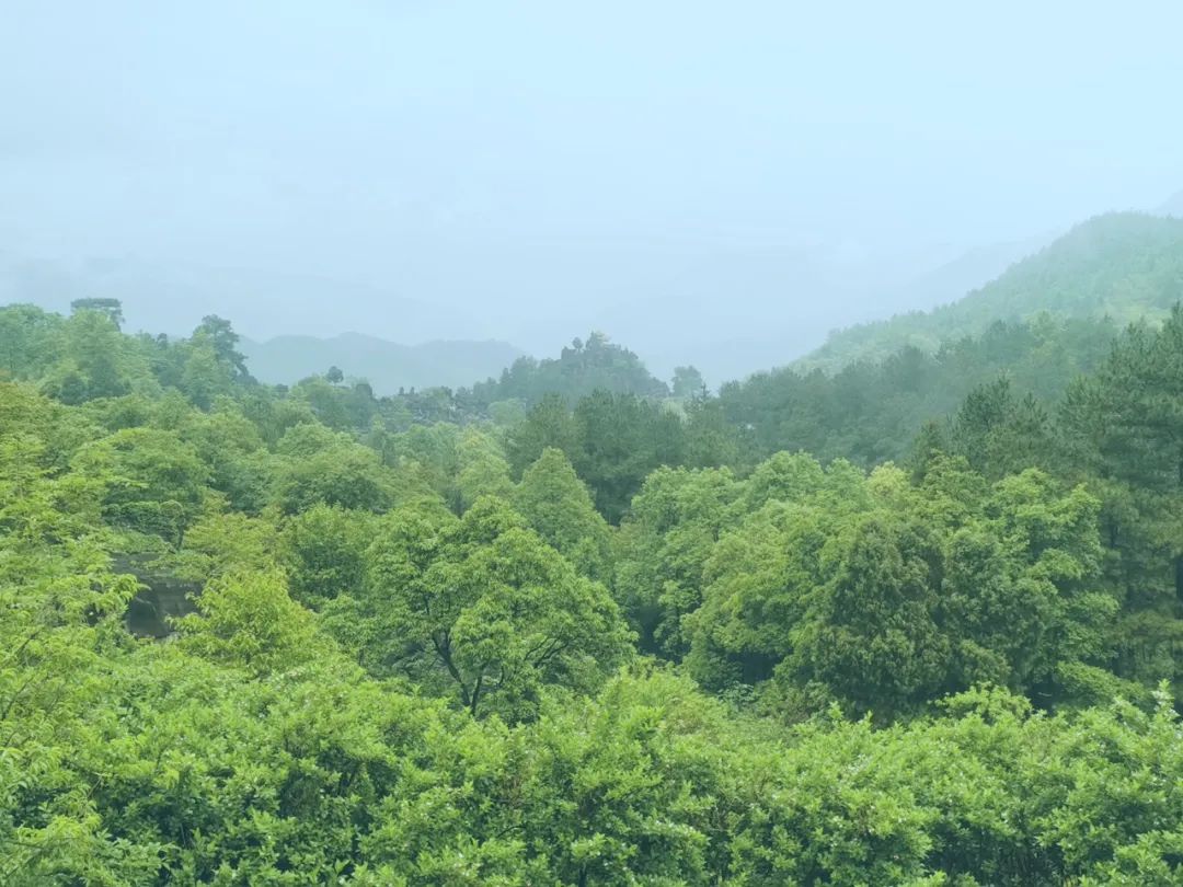 重庆万盛生态游攻略,重庆万盛旅游现状