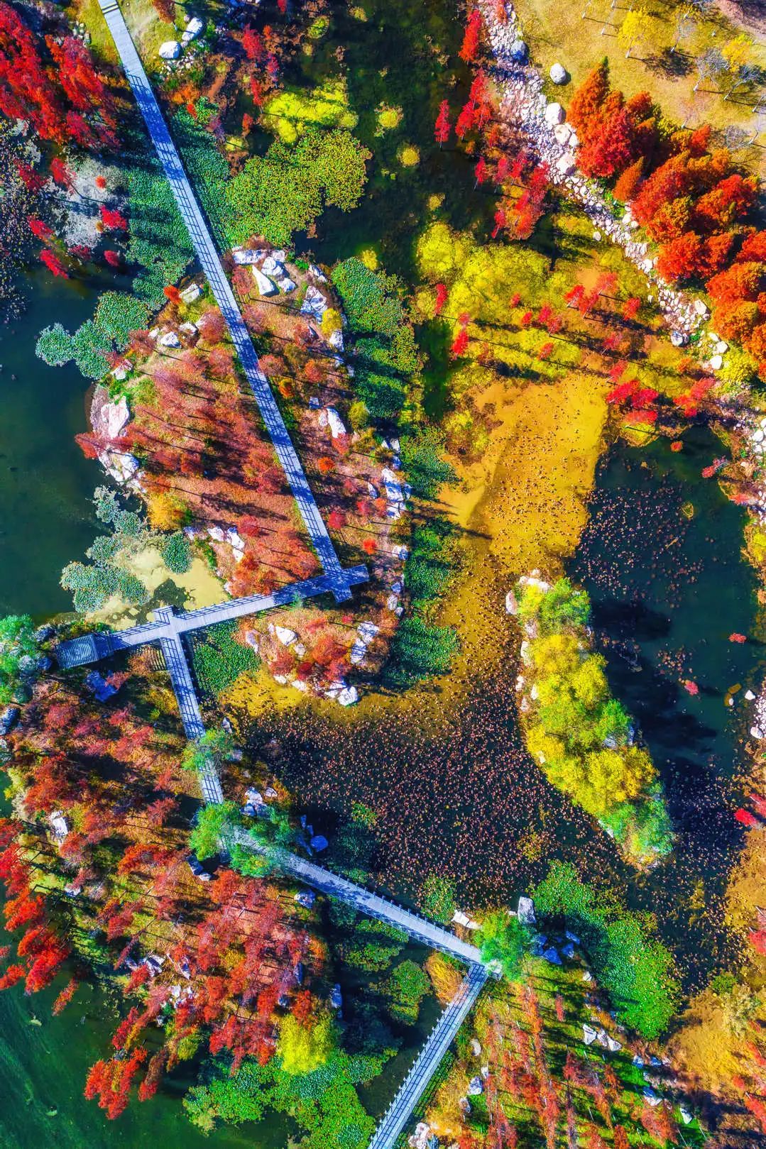 北纬37度一座神奇的城市,北纬37度神奇之地