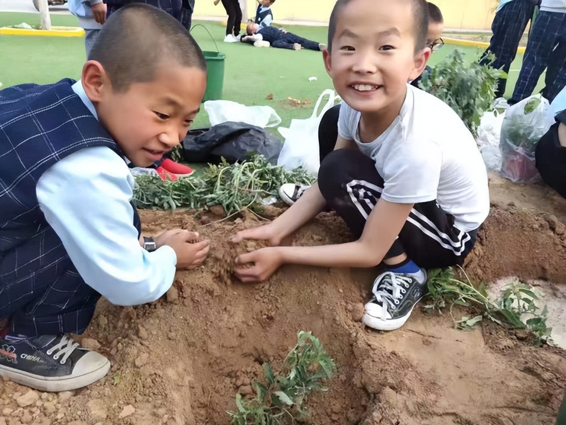 做好三件事推动教育高质量发展,扎实做好双减工作让学生过好假期