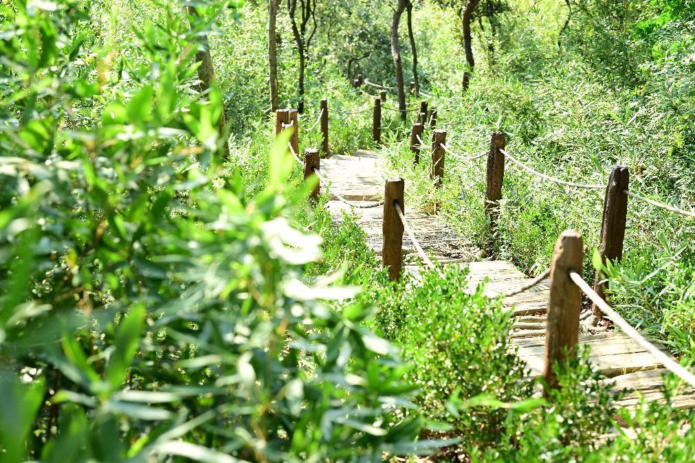 娌夐唹涓滈路闂插眳,榫欏北涔岀煶鍙ら亾寰掓