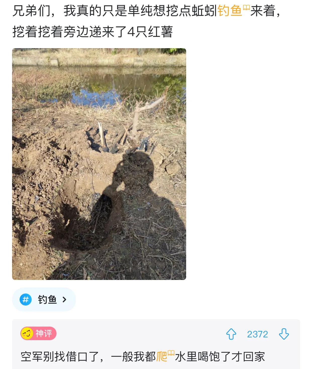“是小蛇出了轨，还是青蛙劈了腿？”这是现实版的美杜莎？哈哈