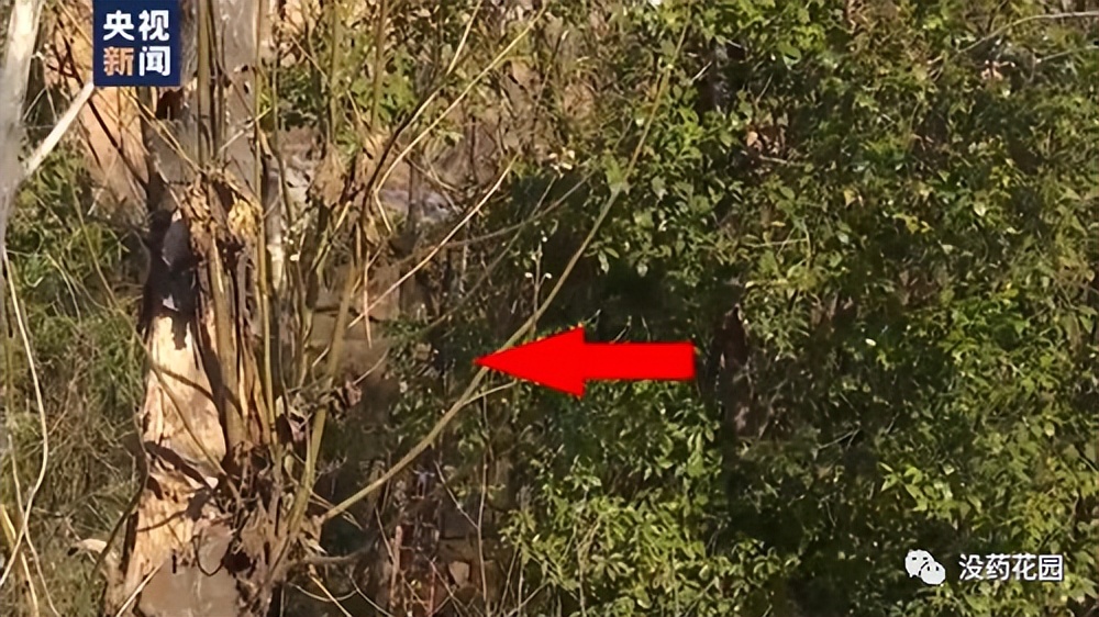 胡鑫宇事件最新通报自缢死亡,胡鑫宇死亡案真相