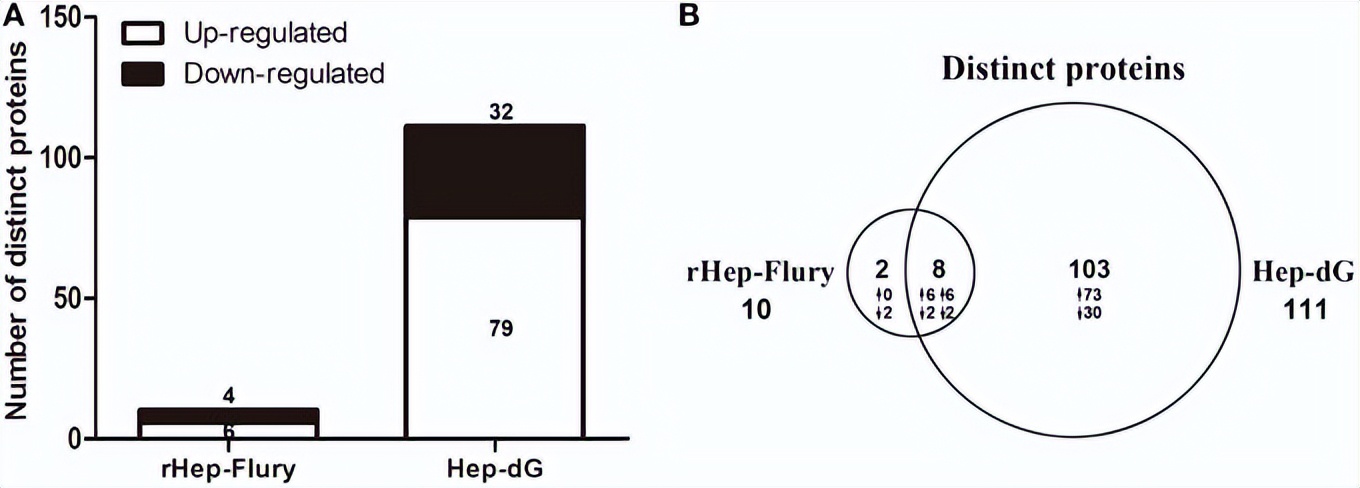 嵌合犬瘟热病毒Ｈ基因的重组狂犬病病毒的构建及免疫原性研究